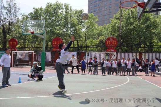 绳梯训练篮球_0